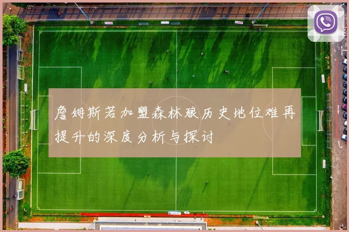 詹姆斯若加盟森林狼历史地位难再提升的深度分析与探讨