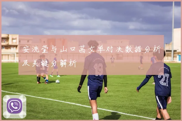 安洗莹与山口茜女单对决数据分析及关键分解析