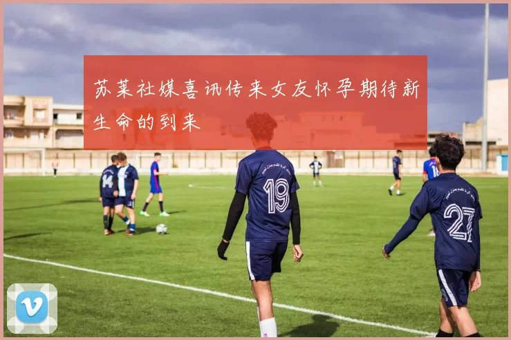 苏莱社媒喜讯传来女友怀孕期待新生命的到来